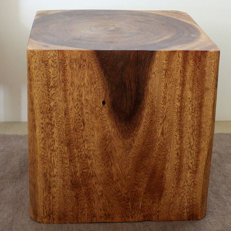 World Menagerie Motyka 18'' Tall Solid Wood Block End Table & Reviews